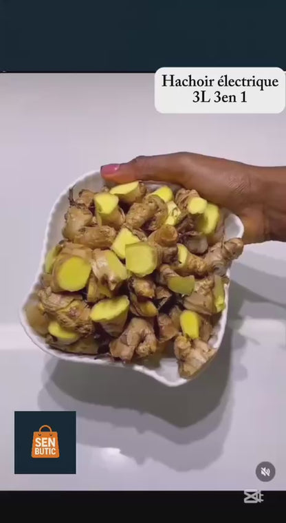 Hachoir Électrique 3L 3en 1